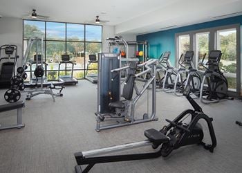 Fitness center with cardio and weight training equipment